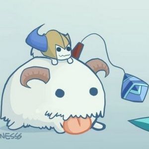 Meet your Posher, Christy